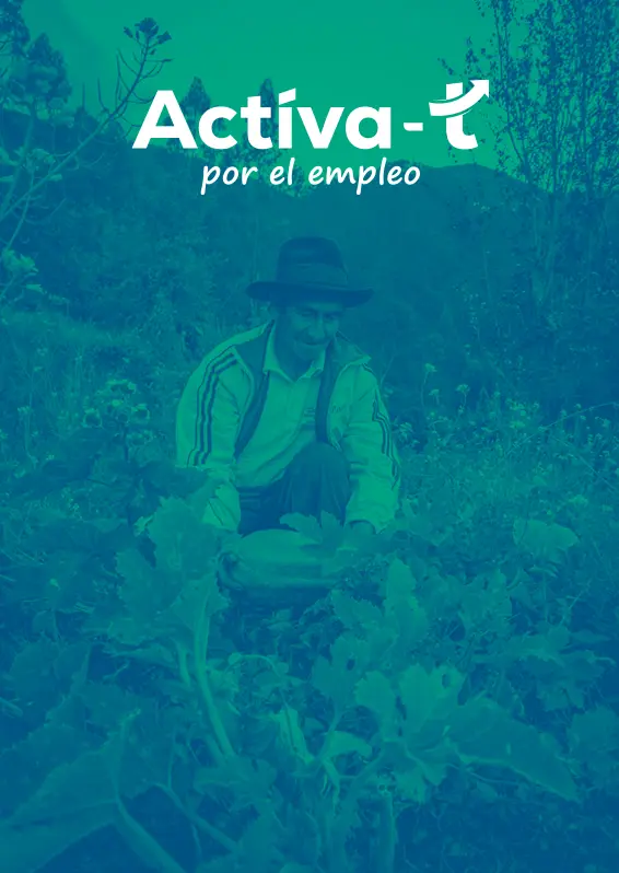 Representación de Actíva-T de FONDOEMPLEO para desarrollo productivo